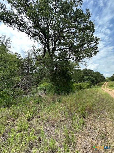 0 Tbd Drive Bastrop, TX 78602 - Photo 5 of 6 a view of lake with green space