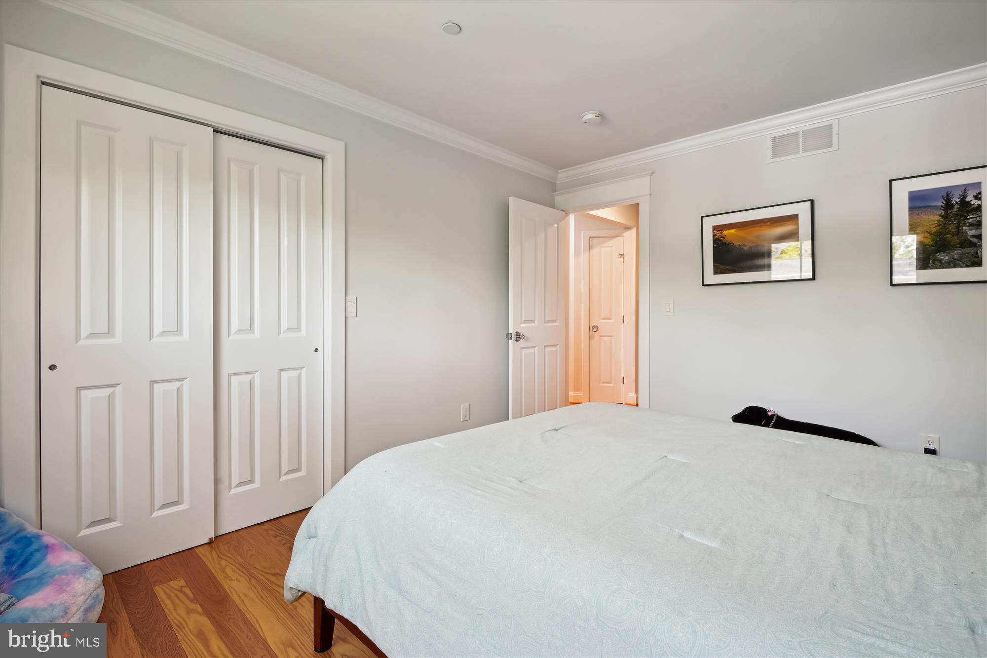 628 Bay Ridge Avenue Annapolis, MD 21403 - Photo 28 of 48 Upper Level 3rd Bedroom with crown molding