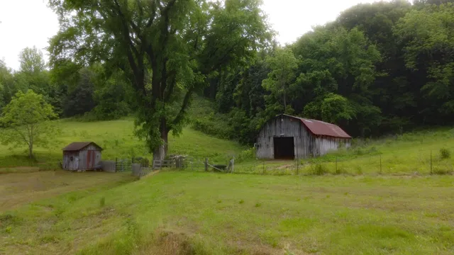 a view of a large garden with large trees