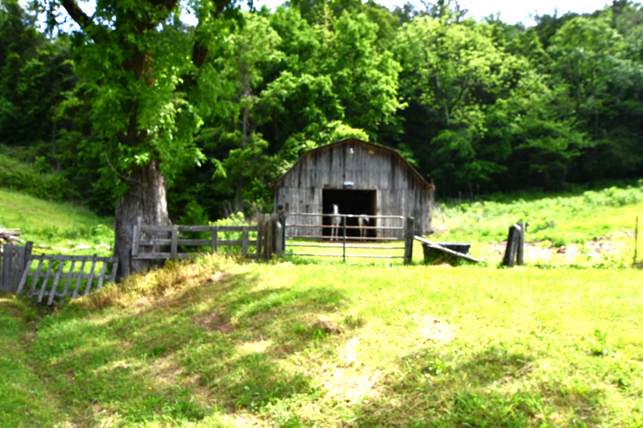 9073 Sherwood Road Sherwood, TN 37376 - Photo 44 of 45