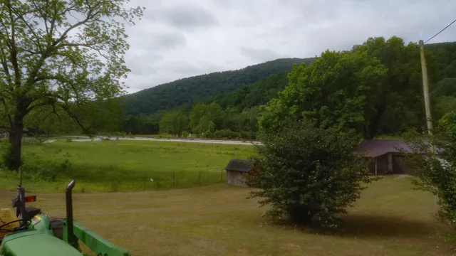 a view of a garden with a building