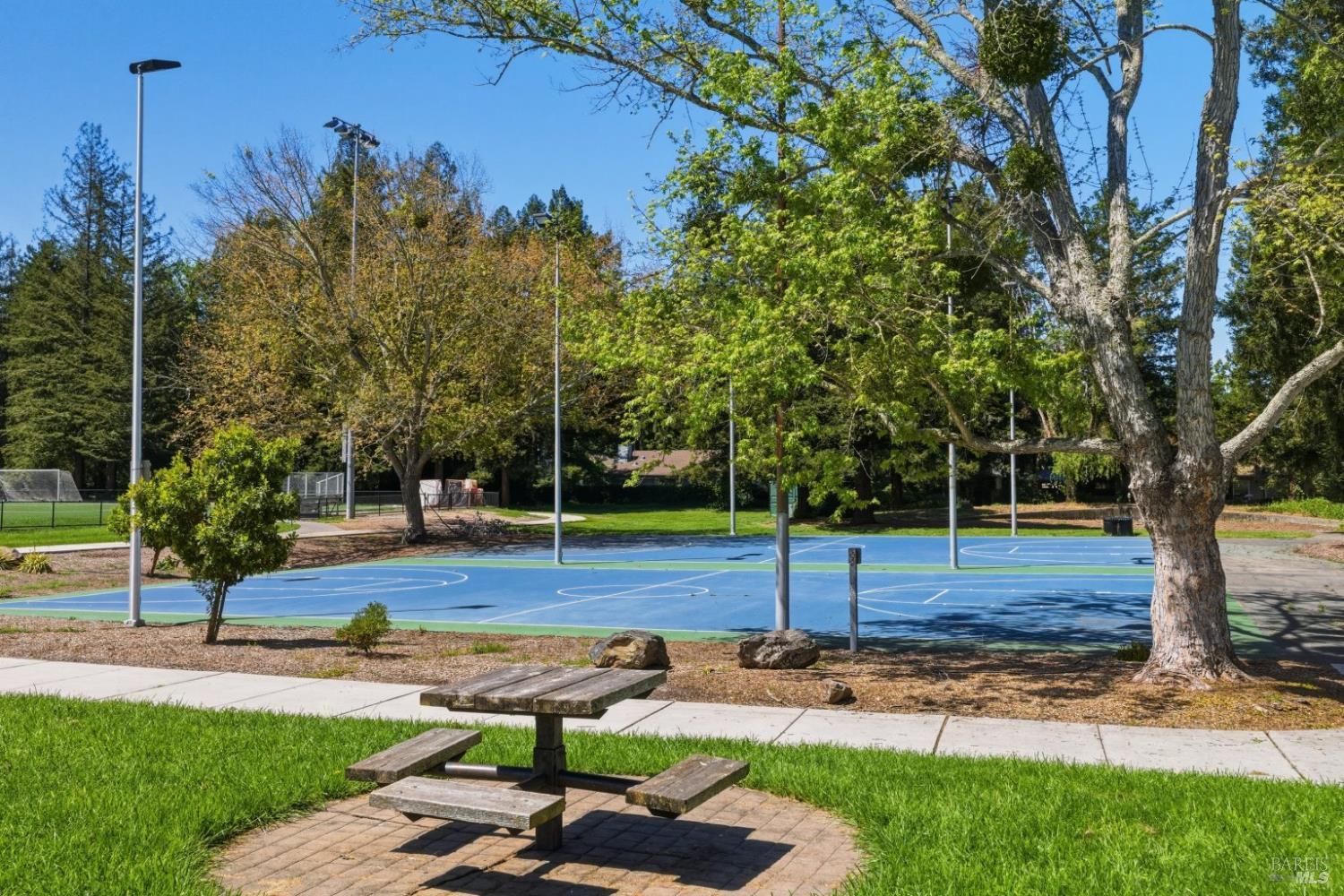 1565 Parkway Drive Rohnert Park, CA 94928 - Photo 39 of 42 a view of a yard with a slide