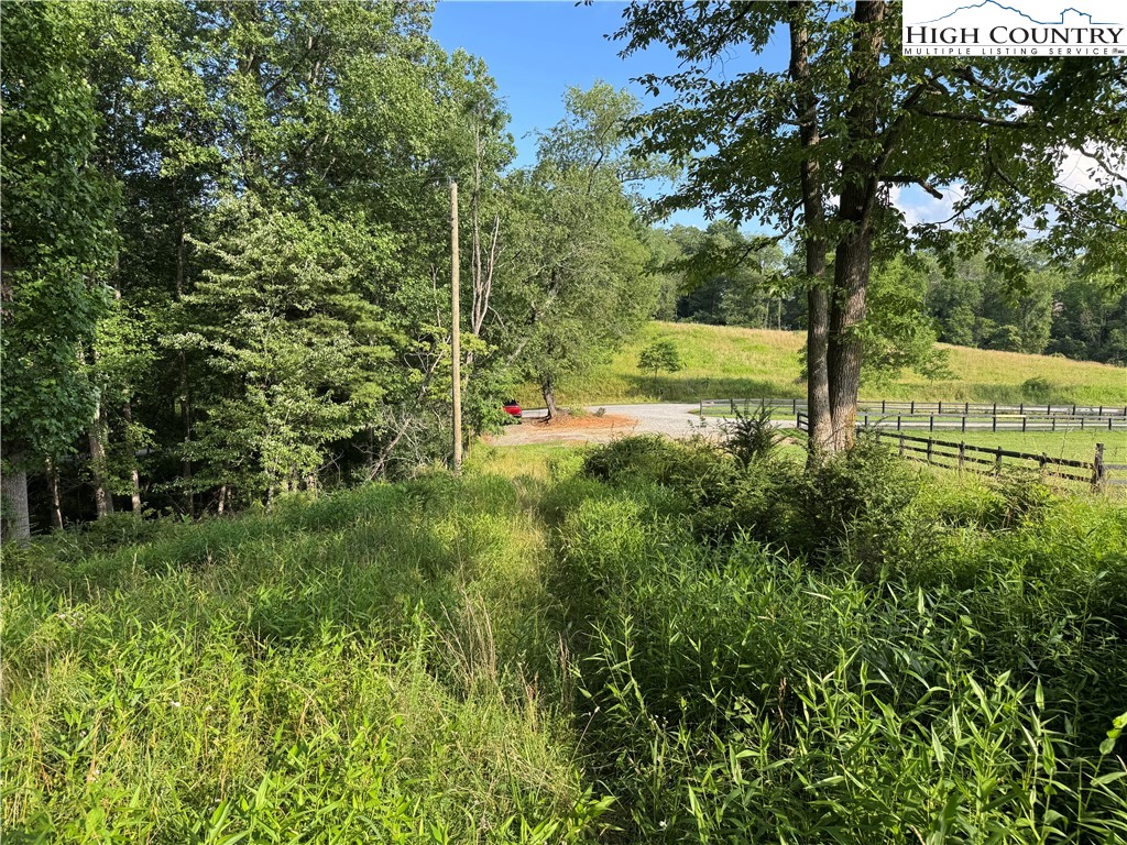 Lot 20 Double Branch Road Grassy Creek, NC 28631 - Photo 1 of 13