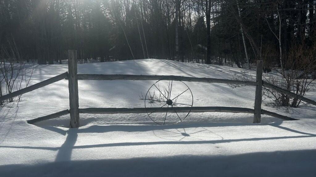 37 Trolley Line Madison, ME 04950 - Photo 25 of 27 Yard