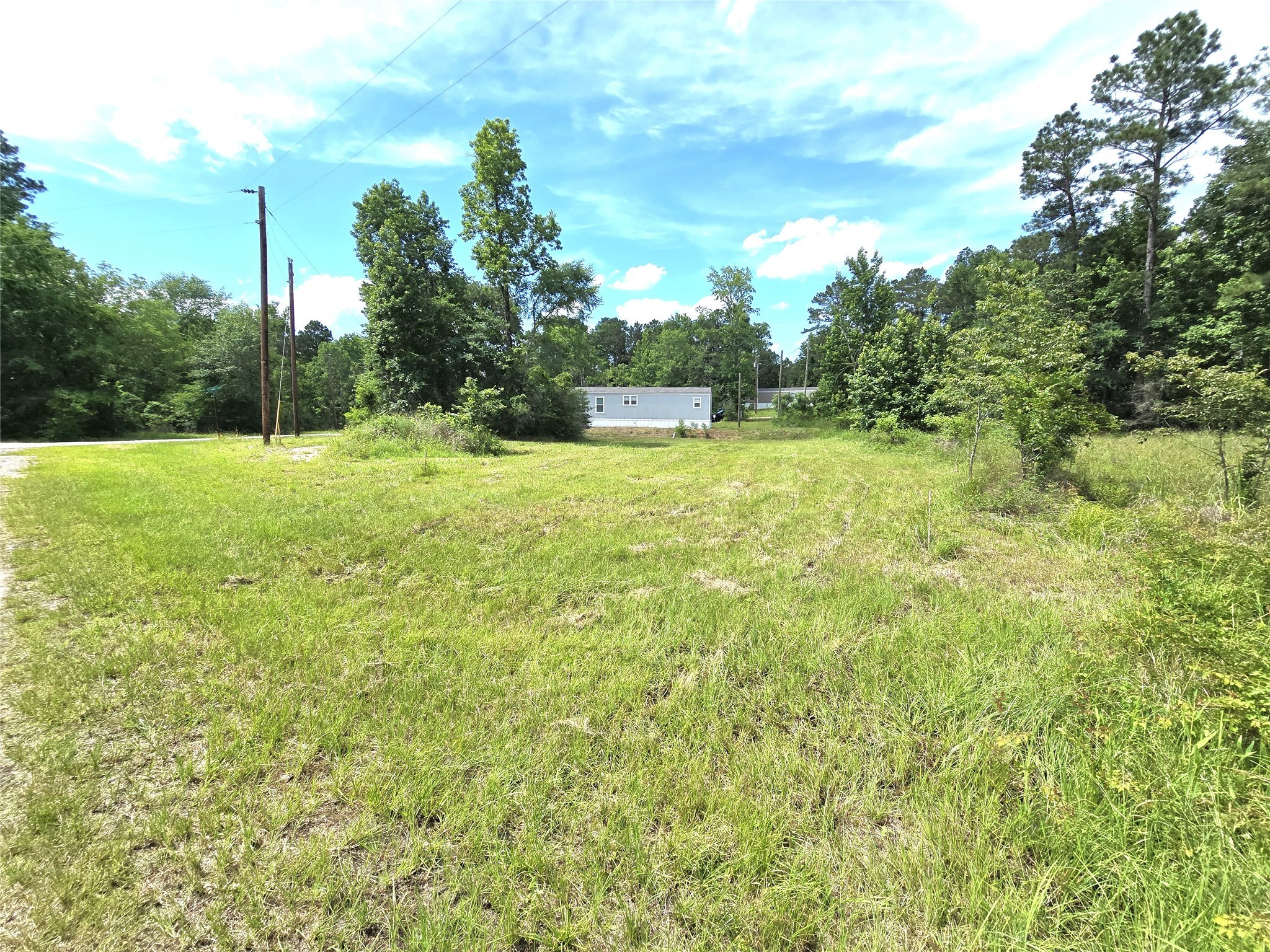 215 Buffalo Way Drive Trinity, TX 75862 - Photo 4 of 17