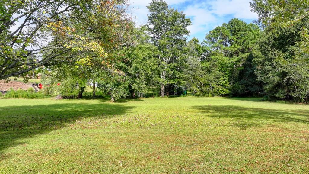 5680 Abbotts Bridge Road Johns Creek, GA 30097 - Photo 12 of 63 a view of a yard with a trees