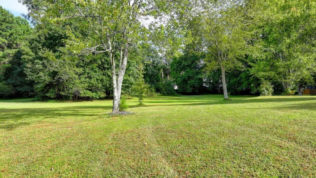 5680 Abbotts Bridge Road Johns Creek, GA 30097 - Photo 13 of 63 a view of a green field with a tree