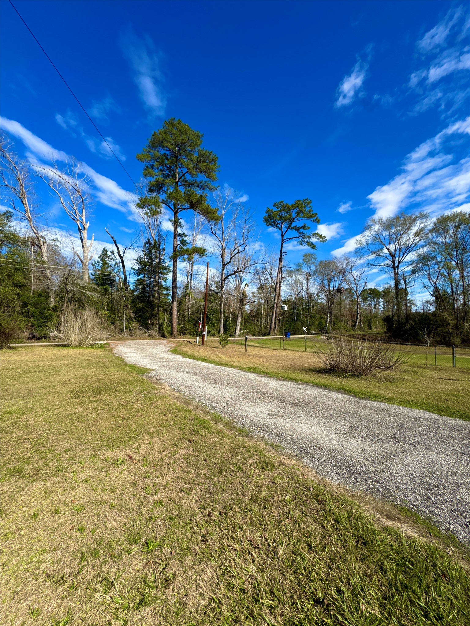 193 County Road 355 Jasper, TX 75951 - Photo 4 of 37 a view of a yard with palm trees