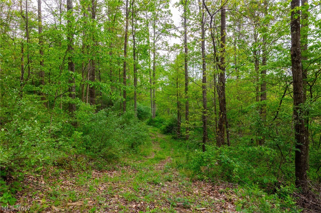 37795 Sheepskin Ridge Road Lower Salem, OH 45745 - Photo 13 of 31