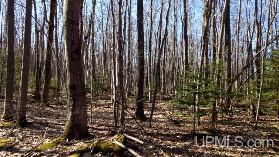 Tbd North Superior Road Atlantic Mine, MI 49905 - Photo 2 of 14 Gallery Image 2