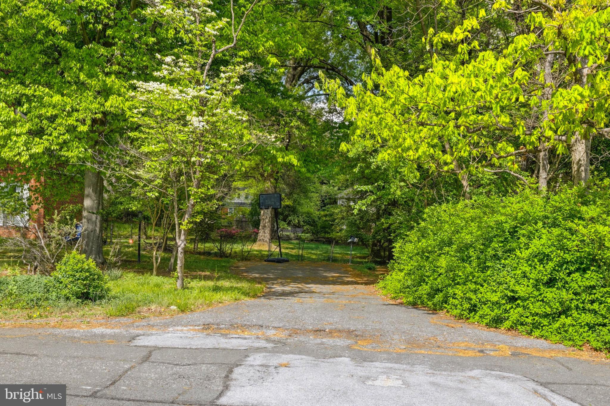 Parkman Road Silver Spring, MD 20903 - Photo 5 of 8 a view of a yard with plants and trees