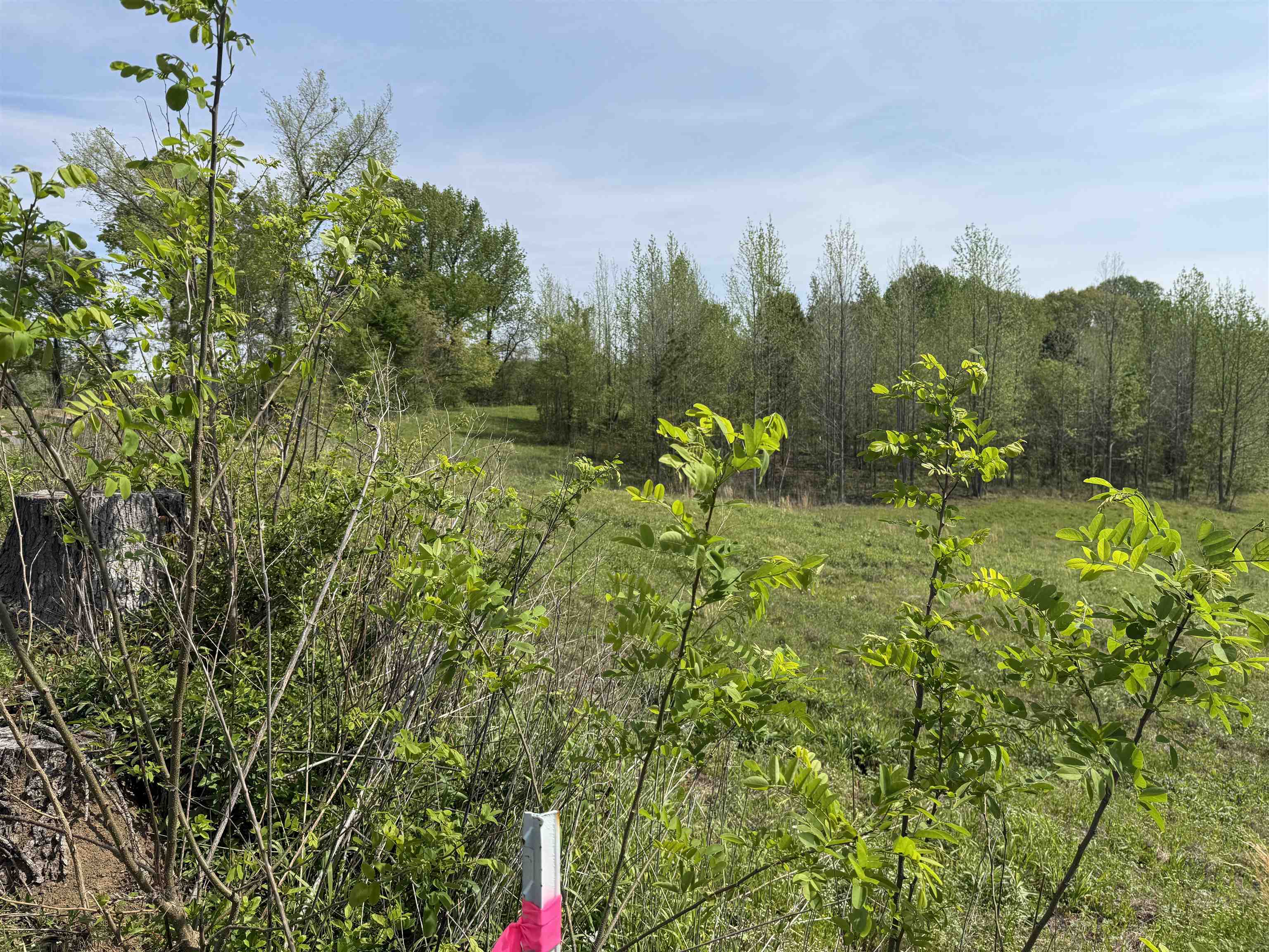 0 Needham Road Drummonds, TN 38023 - Photo 2 of 8 a view of a garden