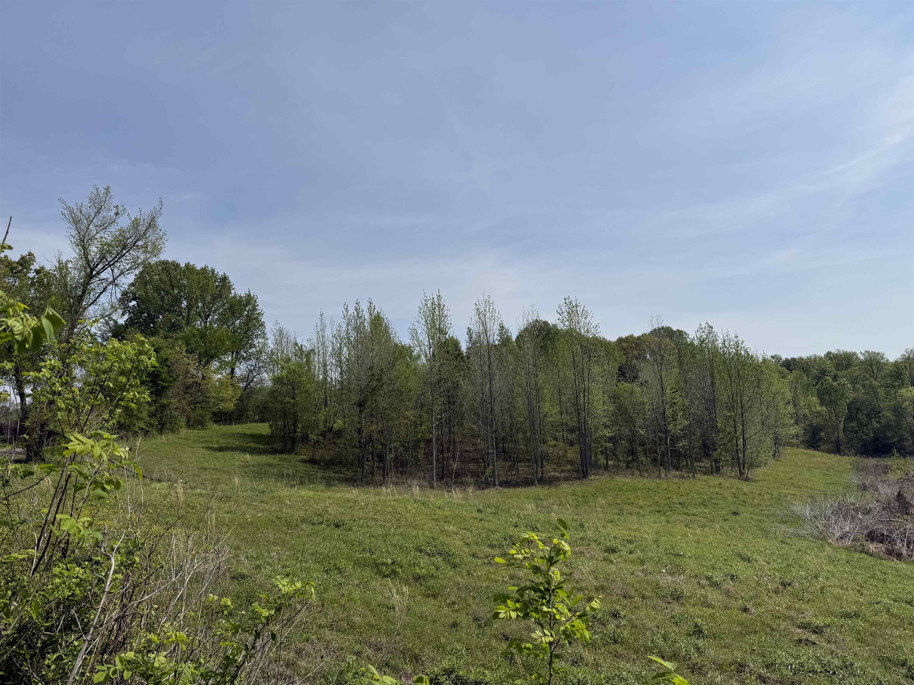 0 Needham Road Drummonds, TN 38023 - Photo 3 of 8 a view of a yard