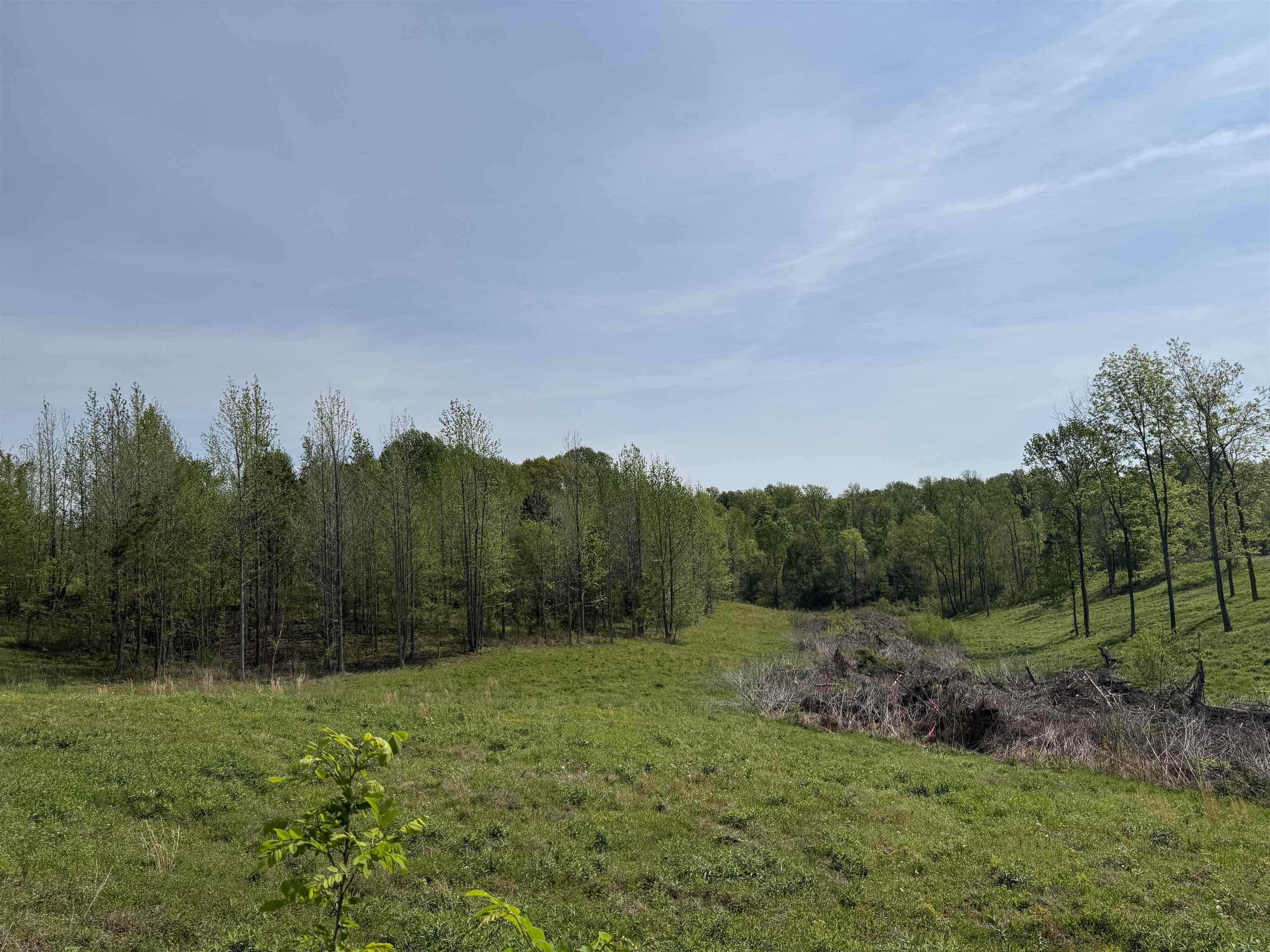 0 Needham Road Drummonds, TN 38023 - Photo 4 of 8 a view of a grassy field with trees in the background