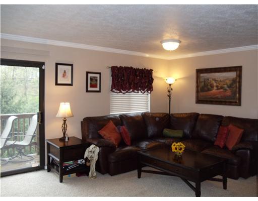 102 Springwater Court Coraopolis, PA 15108 - Photo 2 of 18 Living Room. Spacious 22 x16 Ft Living Room ,with Neutral Carpet.