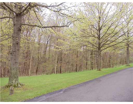102 Springwater Court Coraopolis, PA 15108 - Photo 18 of 18 Other. Peaceful and Private Grounds Around the Pool House