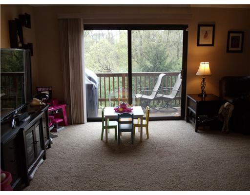 102 Springwater Court Coraopolis, PA 15108 - Photo 3 of 18 Living Room. Sliding Glass Doors to Upper Deck.