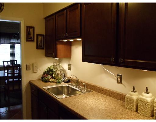 102 Springwater Court Coraopolis, PA 15108 - Photo 5 of 18 Kitchen. New Cabinets/Sink/Countertops & Lighting.