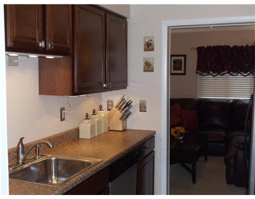 102 Springwater Court Coraopolis, PA 15108 - Photo 7 of 18 Kitchen. New Galley Kitchen ....Easy Access to Dining Room and Living Room.