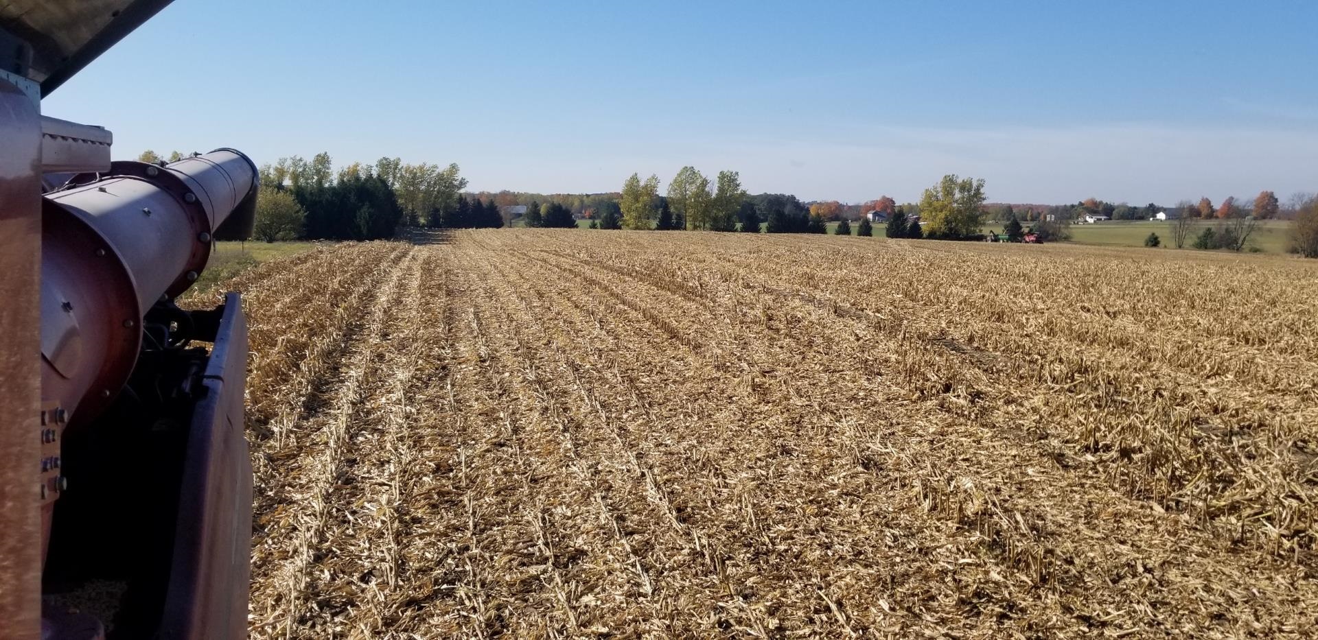 Vl East Vl E Sparling Road Kingsley, MI 49649 - Photo 2 of 12