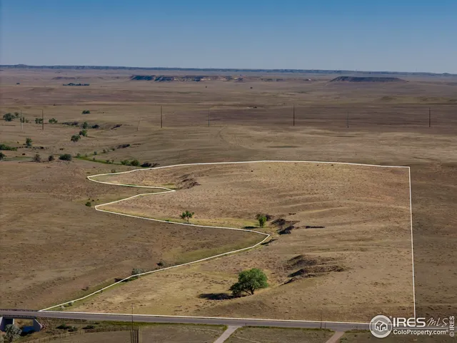 $1,020,000 | 82 Cr Wellington Co 80549, Carr, CO 80612