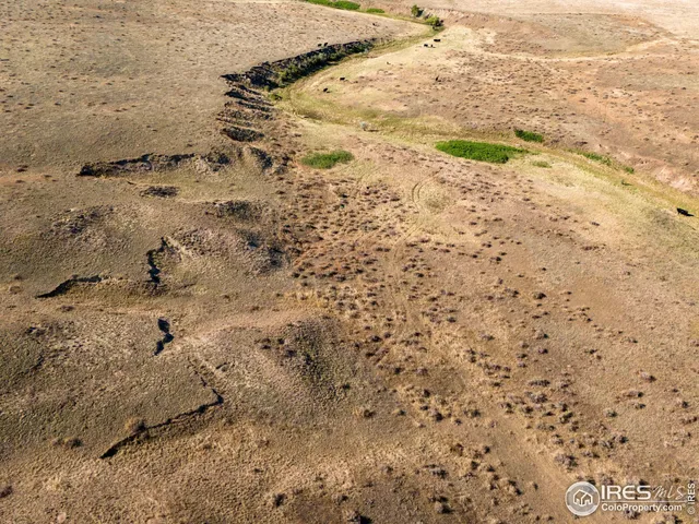 $1,020,000 | 82 Cr Wellington Co 80549, Carr, CO 80612