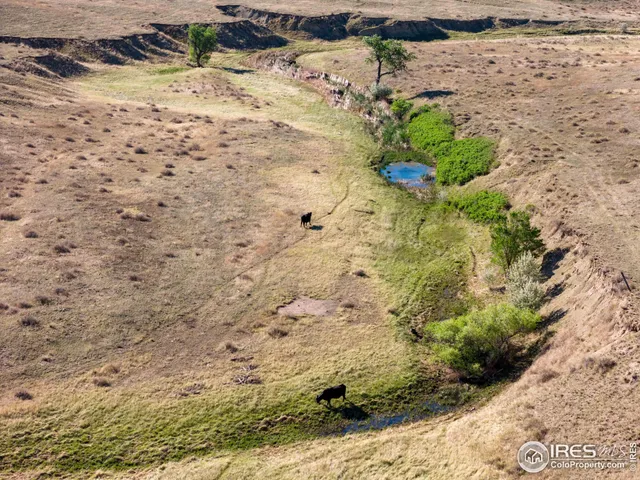 $1,020,000 | 82 Cr Wellington Co 80549, Carr, CO 80612