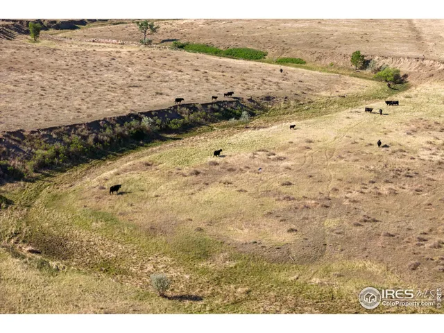 $1,020,000 | 82 Cr Wellington Co 80549, Carr, CO 80612