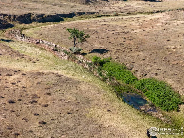 $1,020,000 | 82 Cr Wellington Co 80549, Carr, CO 80612