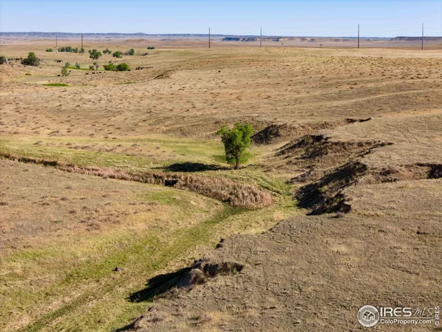 $1,020,000 | 82 Cr Wellington Co 80549, Carr, CO 80612