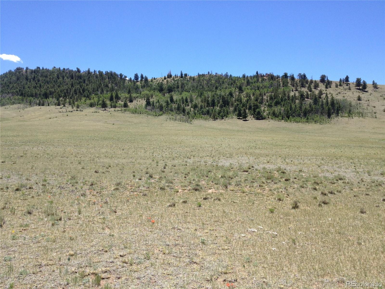 9778 Caddo Road Hartsel, CO 80449 - Photo 3 of 19 Gallery Image 3