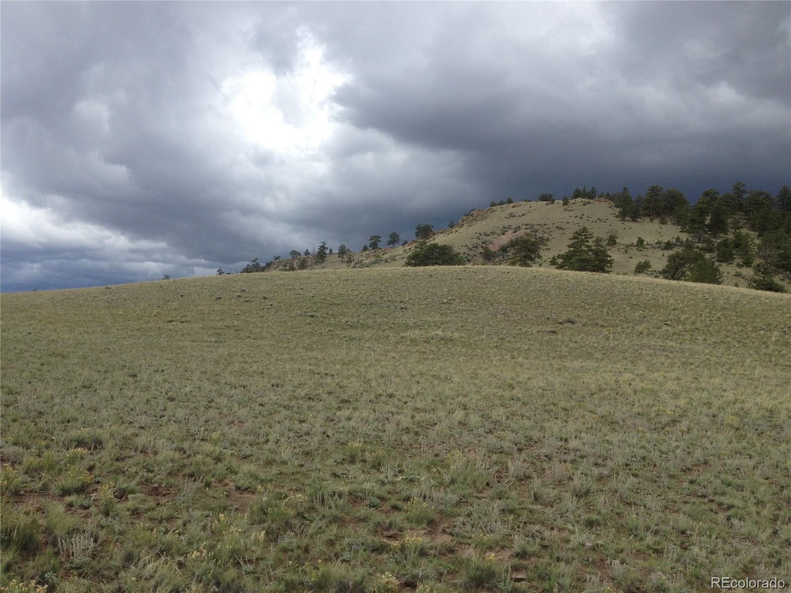 9778 Caddo Road Hartsel, CO 80449 - Photo 4 of 19 Gallery Image 4
