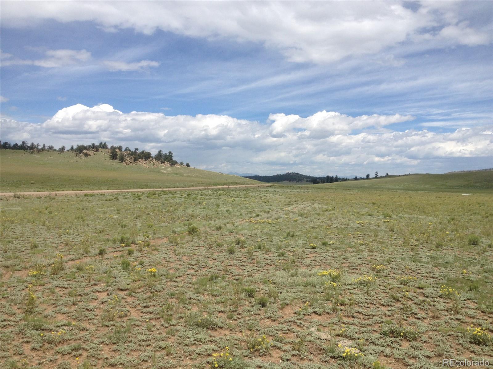 9778 Caddo Road Hartsel, CO 80449 - Photo 7 of 19 Gallery Image 7