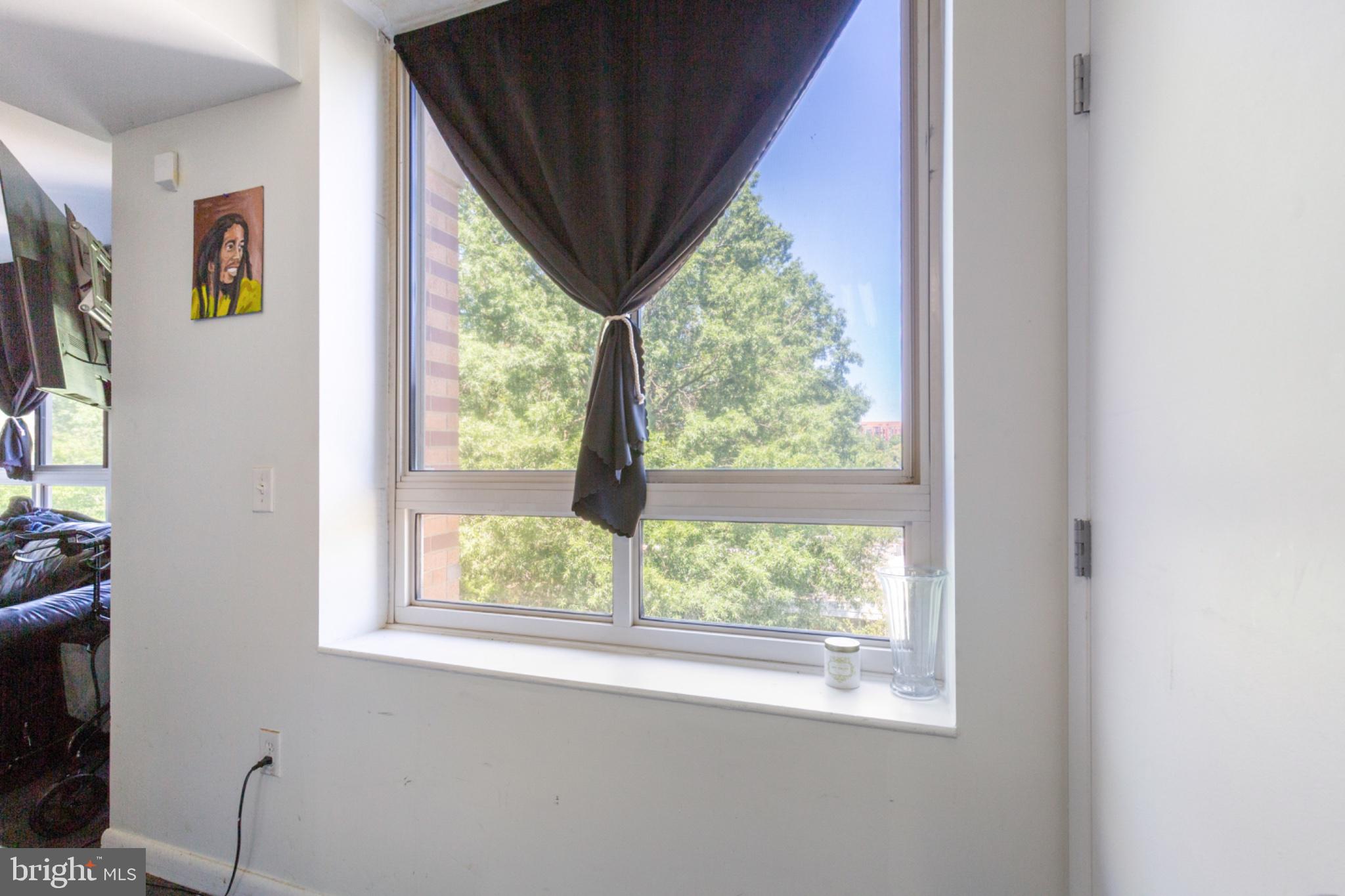 350 G Street Southwest, Unit N423 Washington, DC 20024 - Photo 17 of 43 Bright window with a view of greenery.