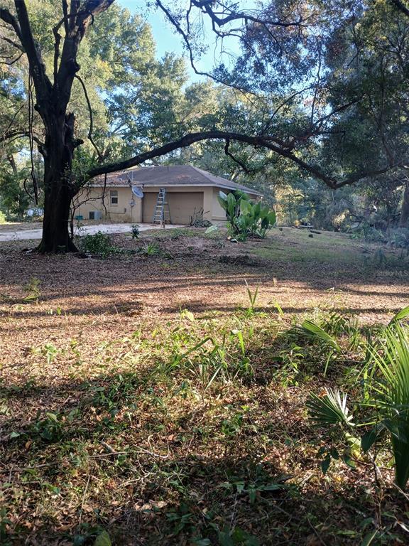 1060 Lane Citra Citra, FL 32113 - Photo 2 of 4