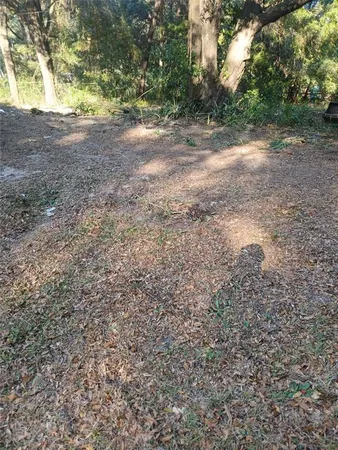 a view of a yard with a tree