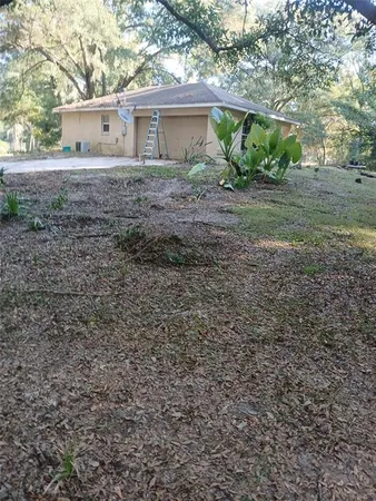 a view of a house with a yard and a large tree