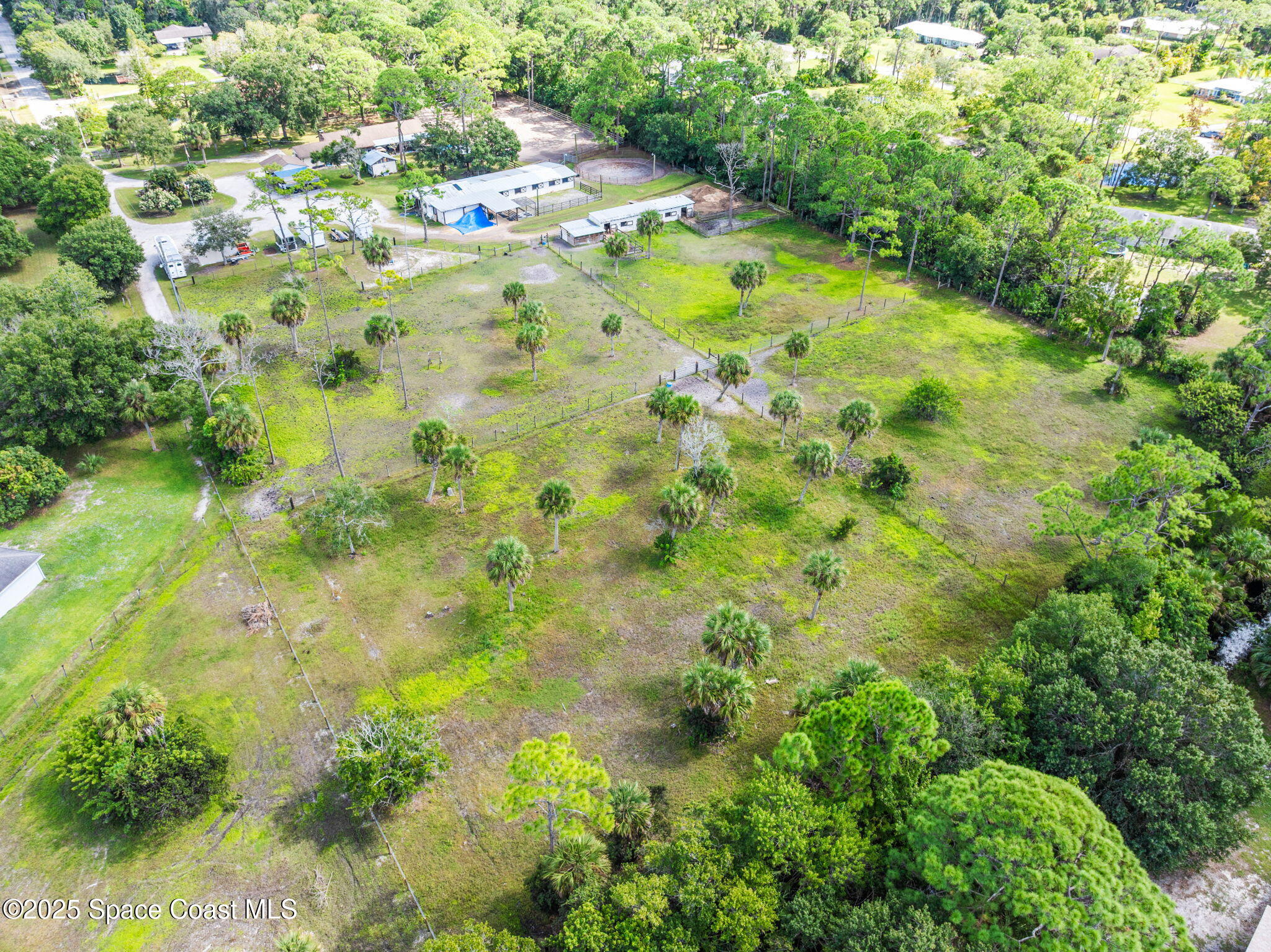 4505 Eldorado Way Melbourne, FL 32934 - Photo 55 of 78 a view of a yard with yellow plants