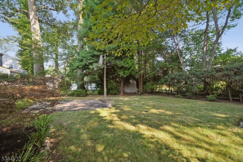 20 Kew Drive Springfield, NJ 07081 - Photo 16 of 19 a view of a trees with a yard