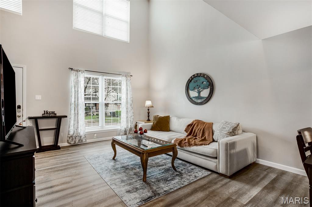 484 Summit Tree Court Fenton, MO 63026 - Photo 6 of 37