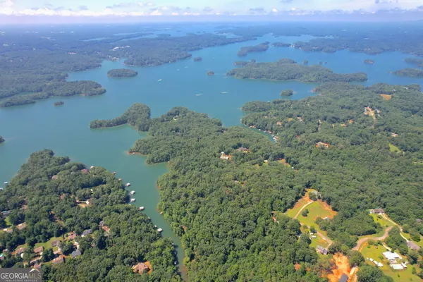 a view of a lake with a mountain in the background
