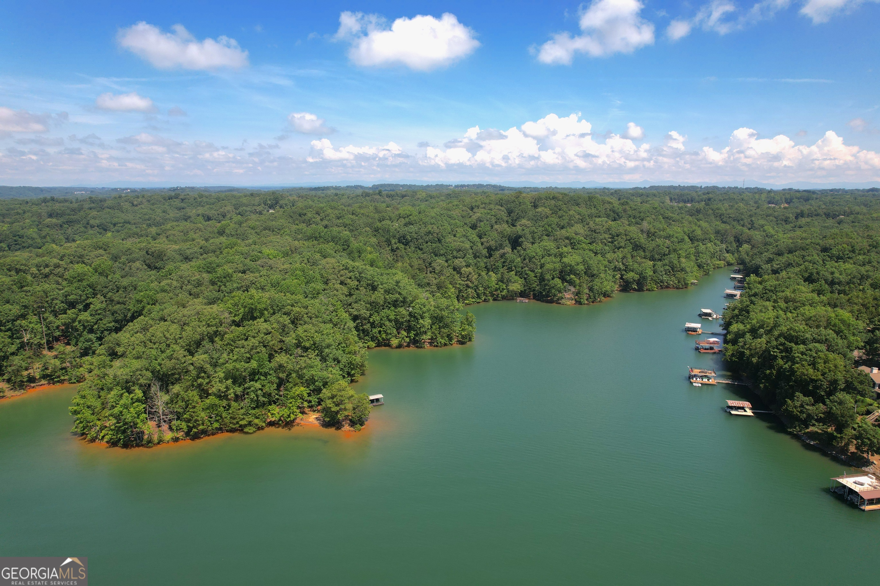 3475 Cook Road Gainesville, GA 30506 - Photo 18 of 29 a view of a lake in the middle of a building