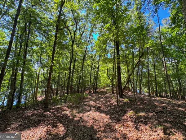 a view of a lake with a yard