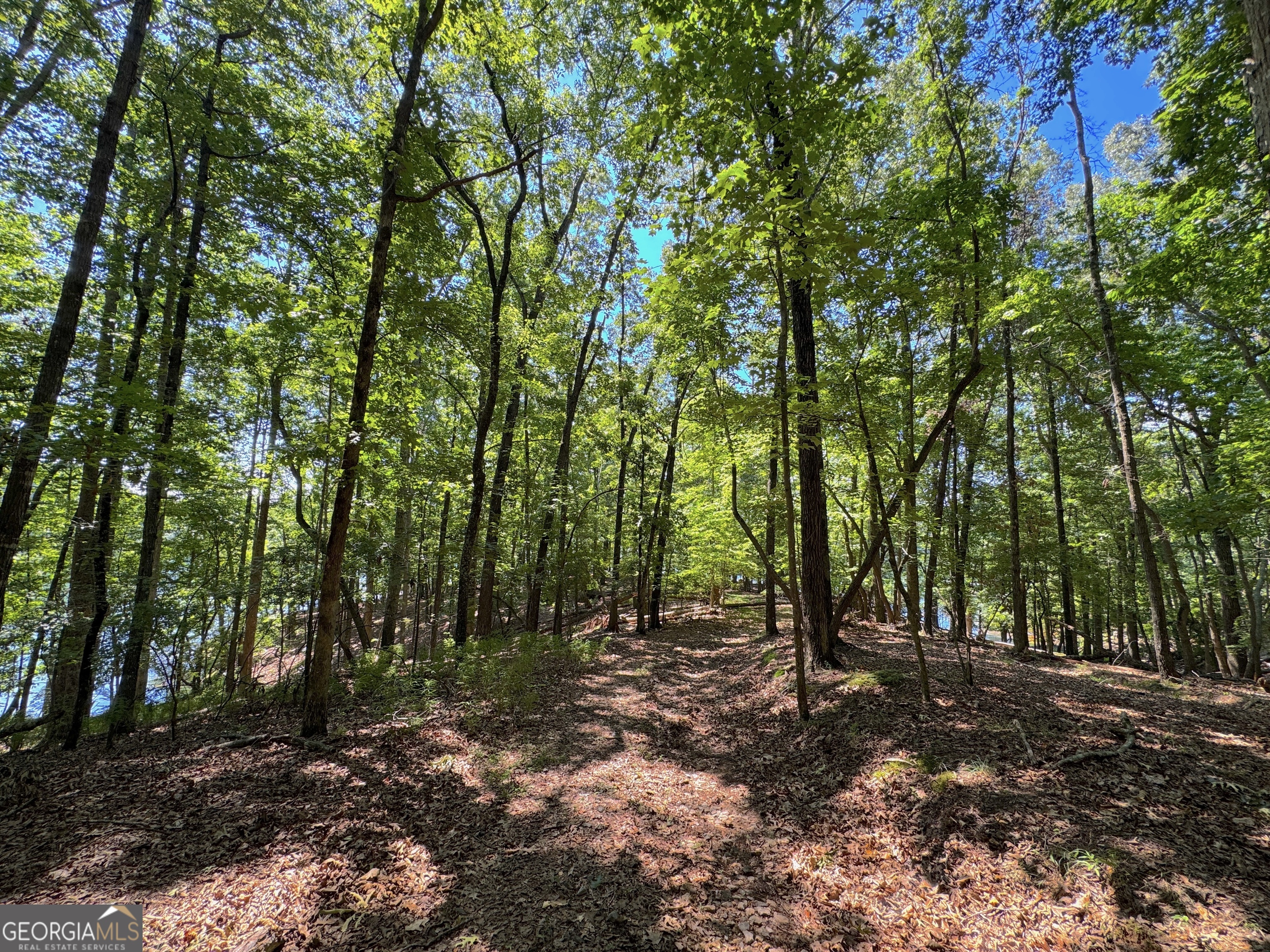 3475 Cook Road Gainesville, GA 30506 - Photo 21 of 29 a view of outdoor space and green space
