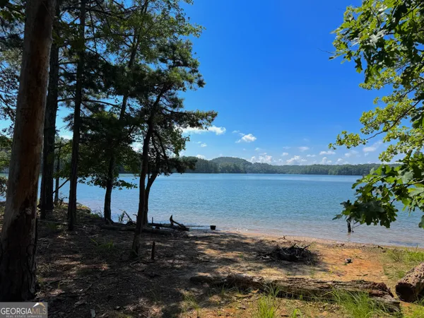 a view of a tree in a yard next to a lake