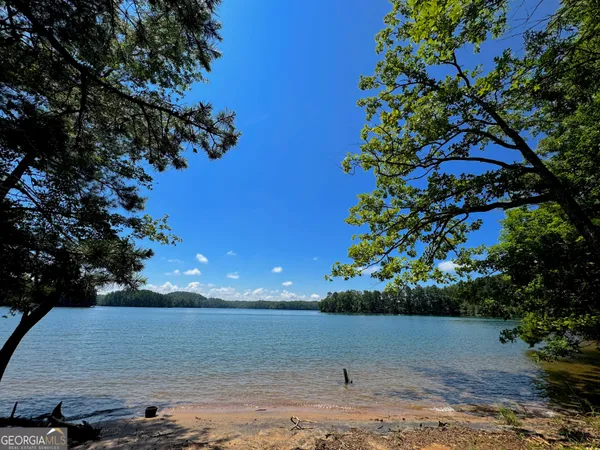 a view of swimming pool with trees
