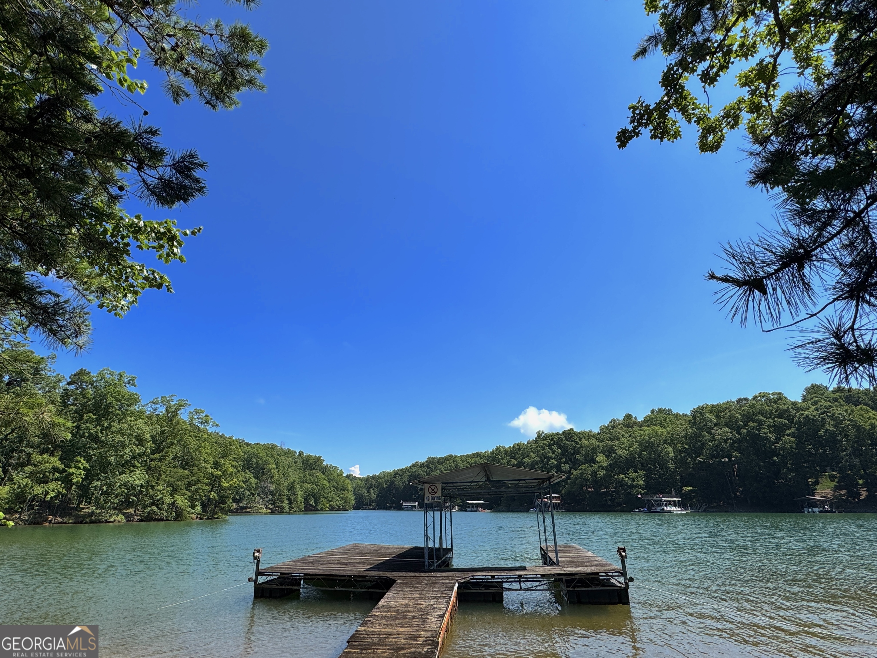 3475 Cook Road Gainesville, GA 30506 - Photo 24 of 29 a view of a lake with a yard