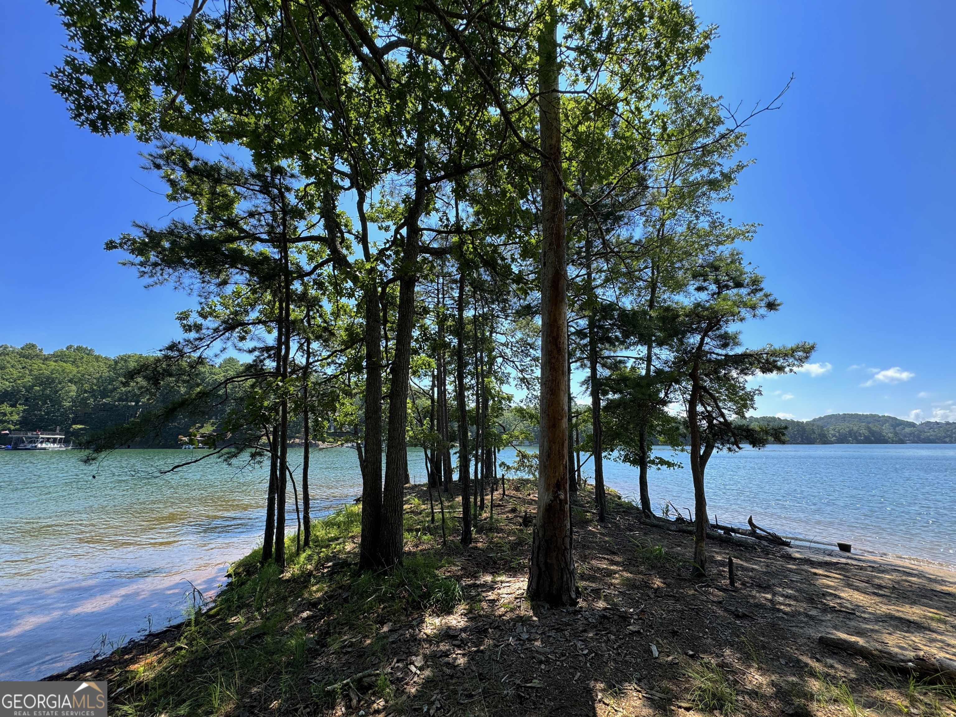 3475 Cook Road Gainesville, GA 30506 - Photo 25 of 29 a view of a tree in a yard next to a lake