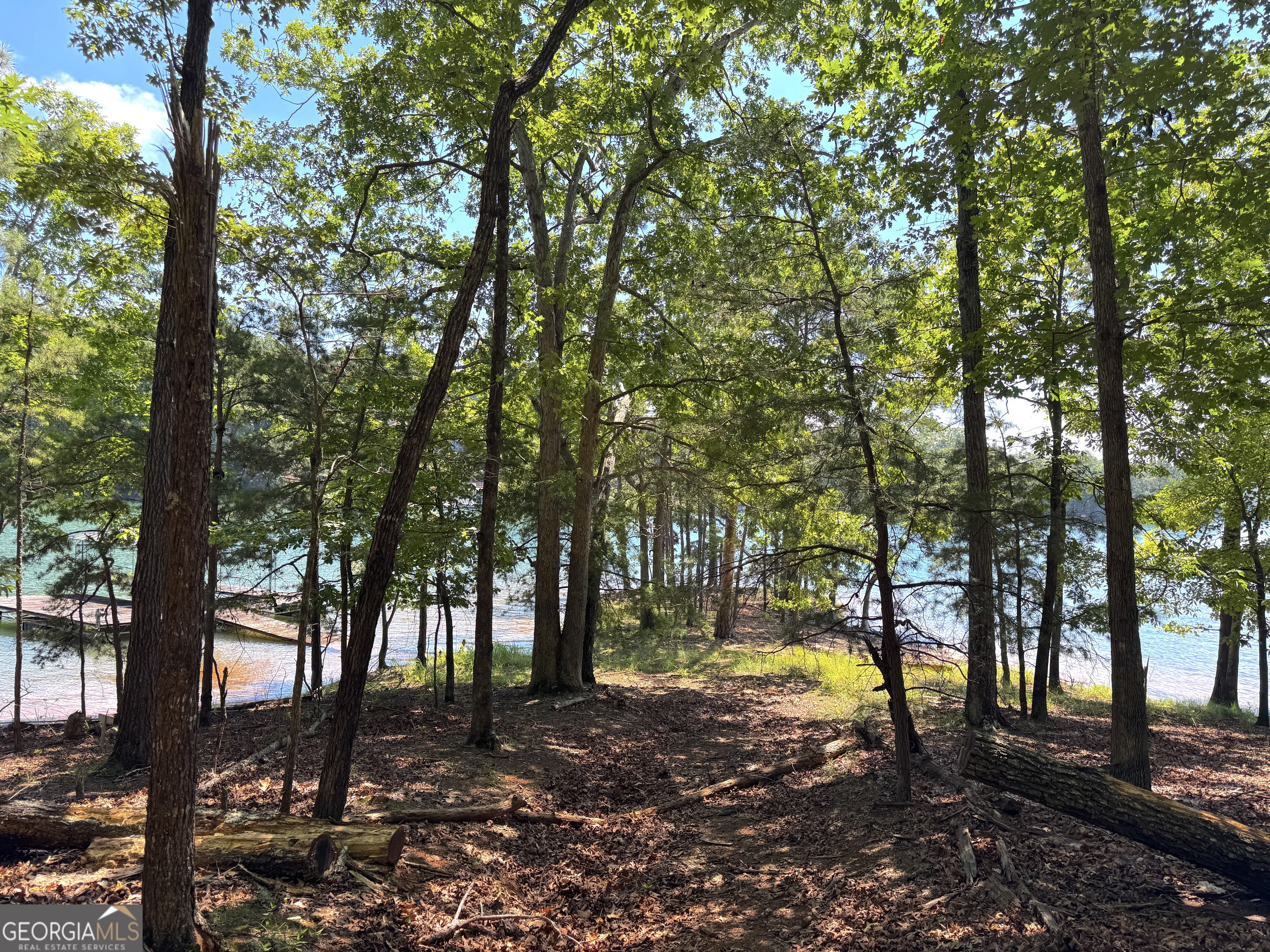 3475 Cook Road Gainesville, GA 30506 - Photo 26 of 29 a view of swimming pool with trees