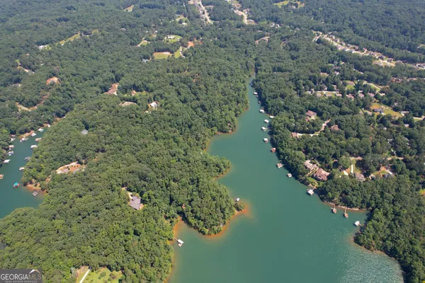 a view of a lake with a city